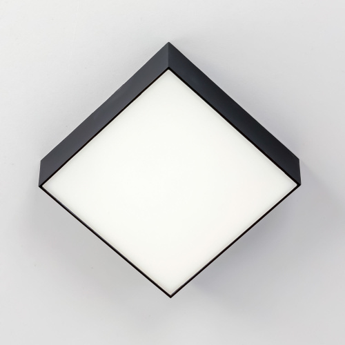 Citilux Тао CL712X122N LED Светильник потолочный с диммером Чёрный фото 5