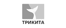 Три Кита