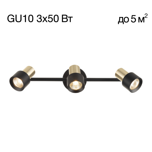 Citilux SAT CL505631 Спот поворотный с выключателем Чёрный+Золото