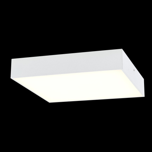 Citilux Тао CL712K240 LED Светильник потолочный с диммером Белый фото 2