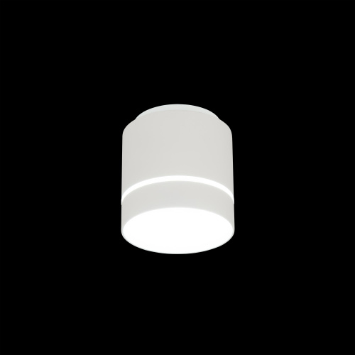 Citilux Борн CL745020N LED Светильник накладной Белый фото 2
