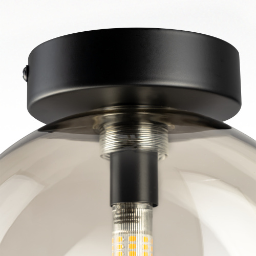 Citilux ORTON CL202511 Светильник Дымчатый фото 9