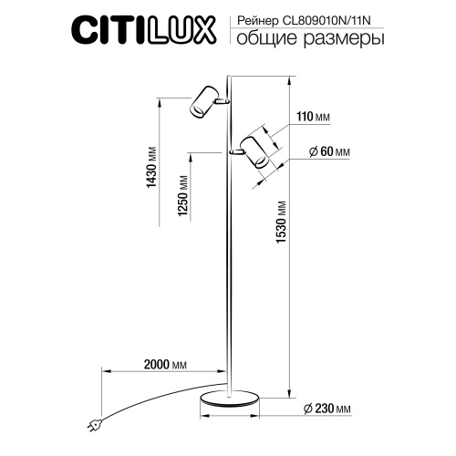 Citilux Twin CL809011N Торшер светодиодный Чёрный фото 10