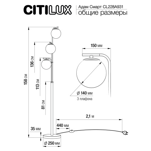 Citilux Адам Смарт CL228A931 RGB LED Умный торшер Матовый Хром фото 13