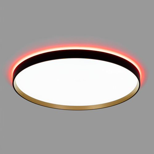 Citilux ETALON CL750501R LED RGB Светильник с пультом Чёрный+Золото фото 4