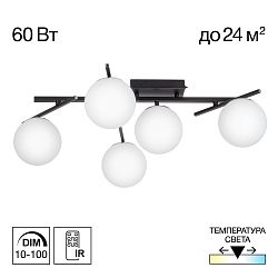 Citilux DORSY CL223152 LED Люстра поворотная Чёрная