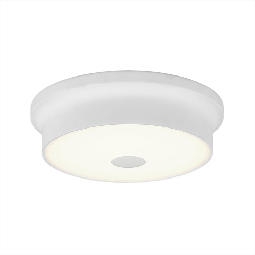 Citilux Фостер-2 CL706210 LED Светильник с диммером Белый фото 2