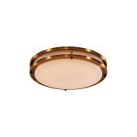 Citilux Бостон CL709253 LED Светильник с диммером Бронза