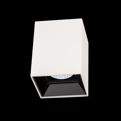 Citilux Старк CL7440201 LED Светильник накладной Белый Чёрный фото 2