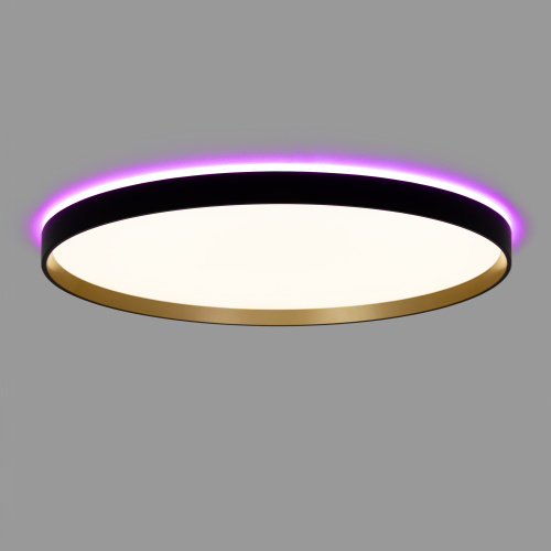 Citilux ETALON CL750501R LED RGB Светильник с пультом Чёрный+Золото фото 7