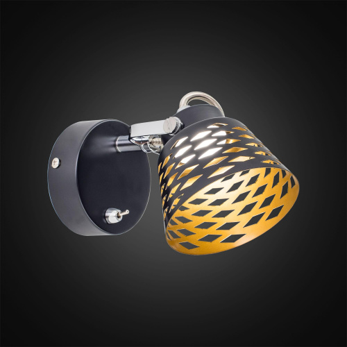 Citilux Орегон CL508512 LED Спот с выключателем Чёрный фото 2