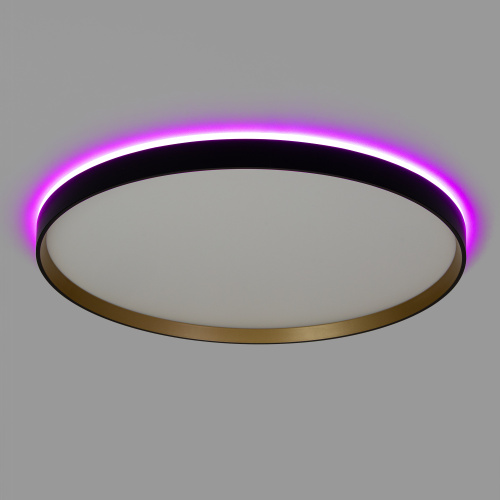 Citilux ETALON CL750501R LED RGB Светильник с пультом Чёрный+Золото фото 5