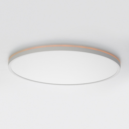 Citilux NORMA CL749500 LED RGB Светильник с пультом Белый фото 5
