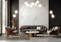 Новинка Citilux Ronny