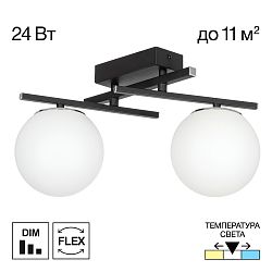 Citilux DORSY CL223122 LED Светильник поворотный Чёрный