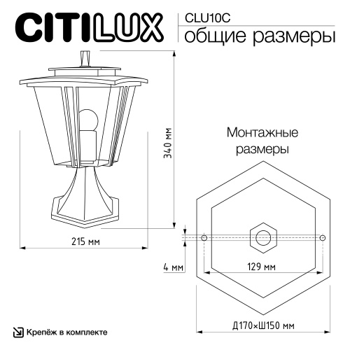 Citilux FORTS CLU10С Уличный парковый светильник фото 11