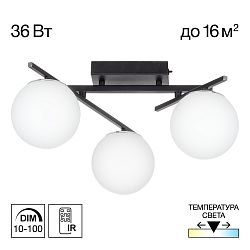 Citilux DORSY CL223132 LED Люстра поворотная Чёрная