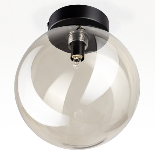 Citilux ORTON CL202511 Светильник Дымчатый фото 3