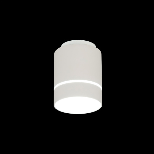 Citilux Борн CL745010N LED Светильник накладной Белый фото 2
