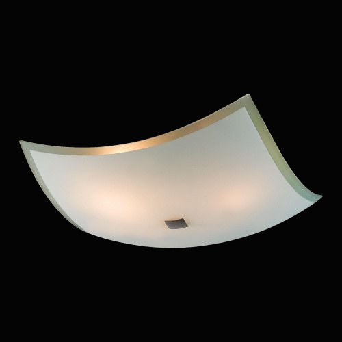 Citilux CL932021 Светильник потолочный Лайн фото 2