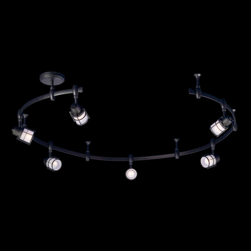 Citilux Трек Реймс CL563161 Трековый гибкий светильник Венге фото 2