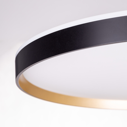 Citilux ETALON CL750501R LED RGB Светильник с пультом Чёрный+Золото фото 10