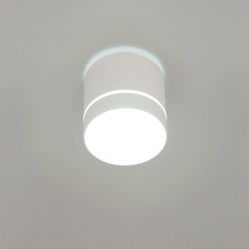 Citilux Борн CL745020N LED Светильник накладной Белый фото 3