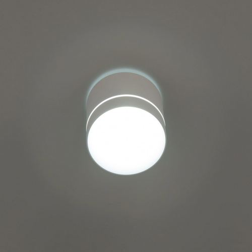 Citilux Борн CL745020N LED Светильник накладной Белый фото 4