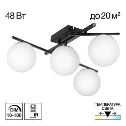 Citilux DORSY CL223142 LED Люстра поворотная Чёрная