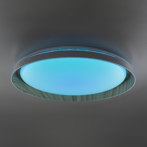 Citilux MEGA CL752452G LED RGB Светильник с пультом Белый+Клён фото 7