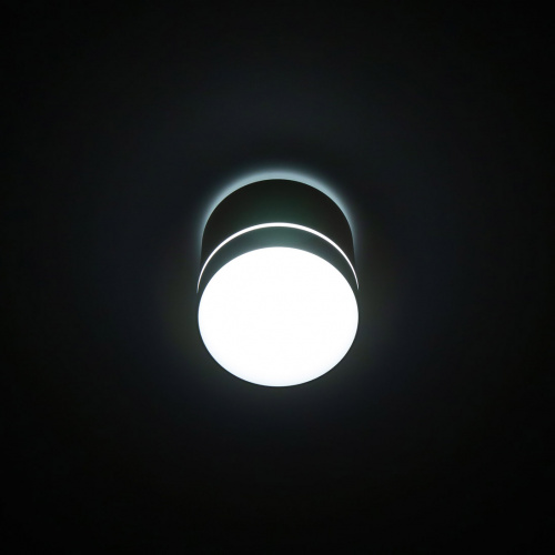 Citilux Борн CL745020N LED Светильник накладной Белый фото 8