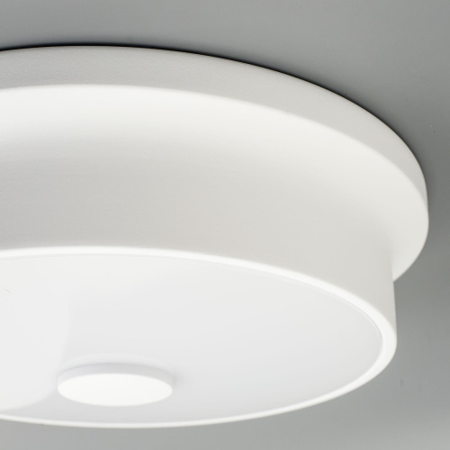 Citilux Фостер-2 CL706210 LED Светильник с диммером Белый фото 5