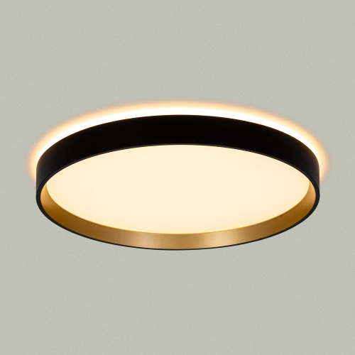 Citilux ETALON CL750321R LED RGB Светильник с пультом Чёрный+Золото фото 6