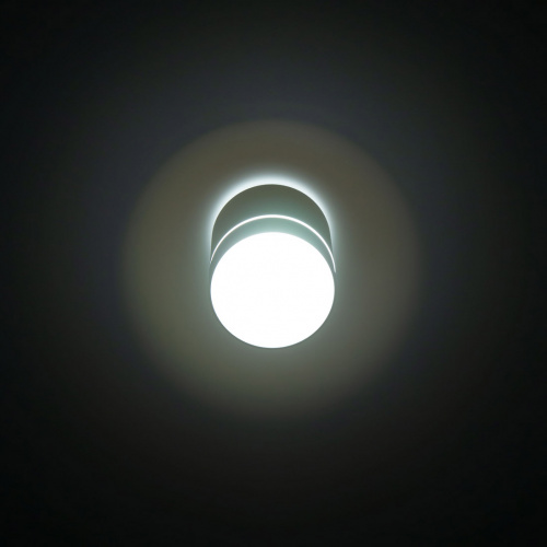Citilux Борн CL745010N LED Светильник накладной Белый фото 6
