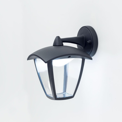 Citilux CLU04W2 LED Уличный настенный светильник Чёрный фото 5
