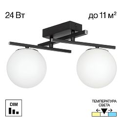 Citilux DORSY CL223122 LED Светильник поворотный Чёрный