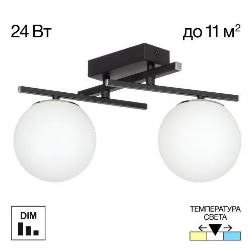 Citilux DORSY CL223122 LED Светильник поворотный Чёрный