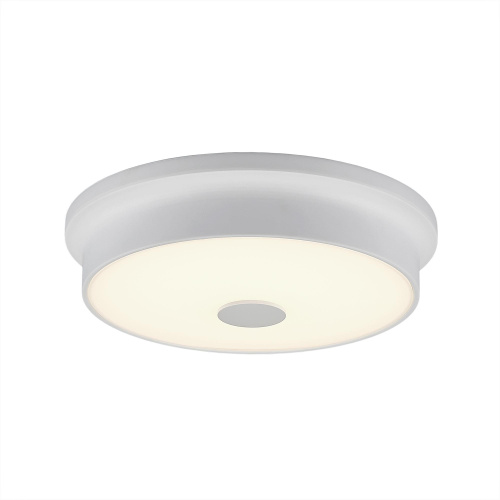 Citilux Фостер-2 CL706220 LED Светильник с диммером Белый фото 2