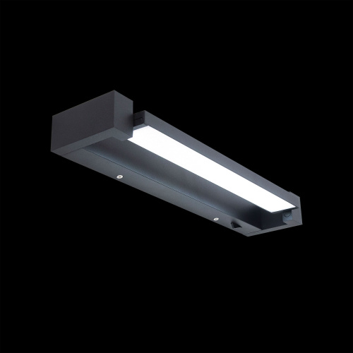 Citilux Визор CL708241N LED Настенная подсветка с выключателем Чёрная фото 3