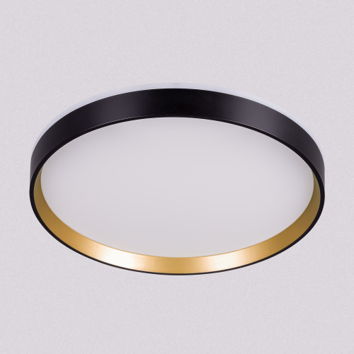 Citilux ETALON CL750321R LED RGB Светильник с пультом Чёрный+Золото фото 3