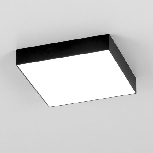 Citilux Тао CL712X242N LED Светильник потолочный с диммером Чёрный фото 4