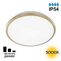 Citilux Луна CL702222W LED Светильник с диммером Золото