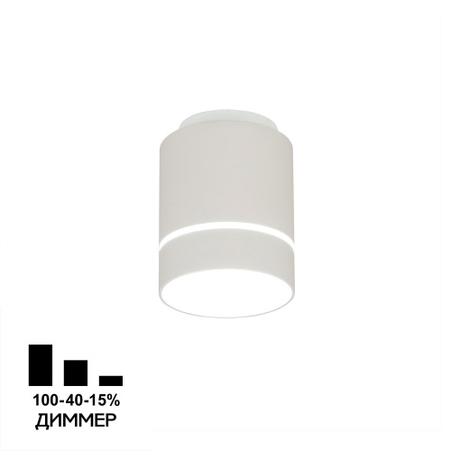 Citilux Борн CL745020N LED Светильник накладной Белый