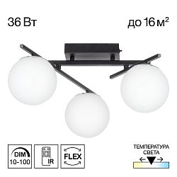 Citilux DORSY CL223132 LED Люстра поворотная Чёрная