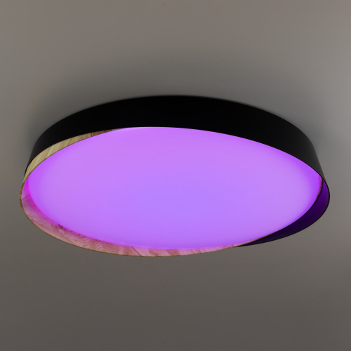 Citilux BONNY CL754451G LED RGB Светильник с пультом Чёрный + Клён фото 10