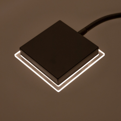 Citilux Харди CL802015 LED Торшер с диммером Кофейный фото 10