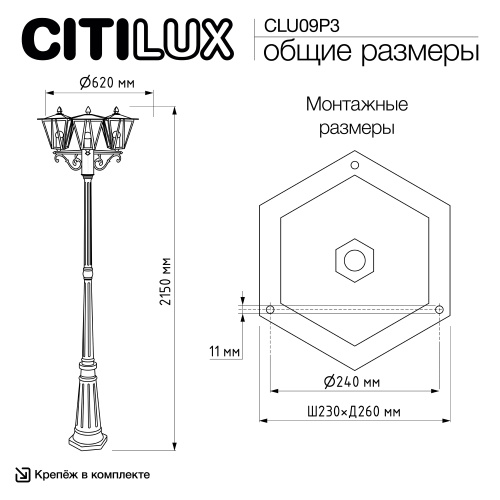 Citilux FORTS CLU09P3 Уличный парковый светильник фото 13