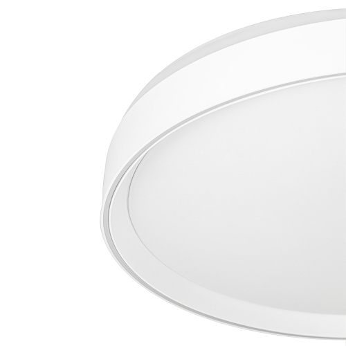 Citilux BOSS CL751450G LED RGB Светильник с пультом Белый фото 8