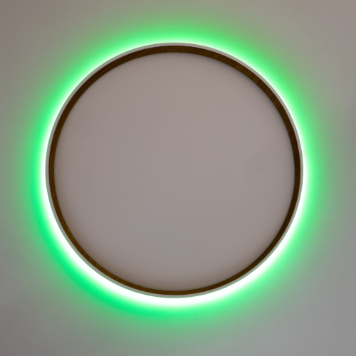 Citilux ETALON CL750400R LED RGB Светильник с пультом Белый+Бук фото 8