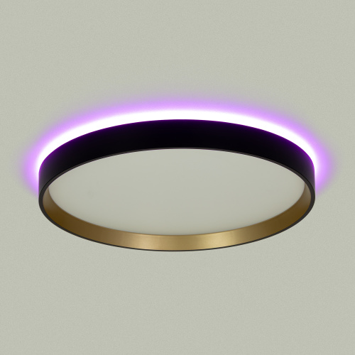 Citilux ETALON CL750321R LED RGB Светильник с пультом Чёрный+Золото фото 5